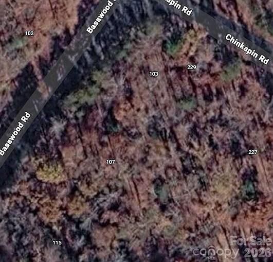 2nd image of 107 Basswood Rd