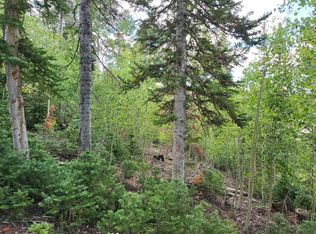 411 N Aoki Michi Rd, Brian Head, UT 84719