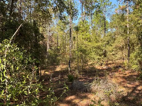 Lot 10 NW 16th Ave, Bell, FL 32619