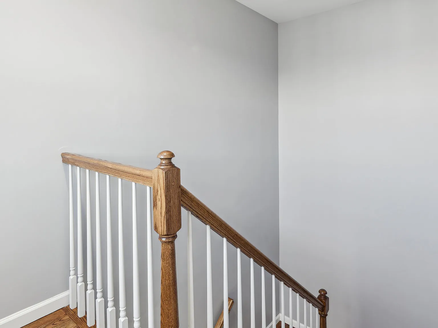 New Construction 3 Bed / 2 Bath (Elizabeth) — Photo 3