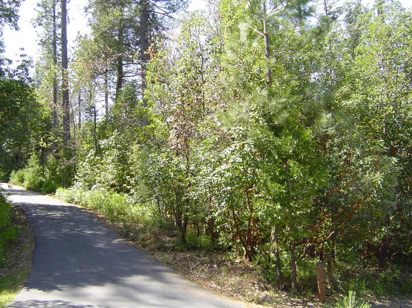 14201 Pine Park Loop, Pine Grove, CA 95665
