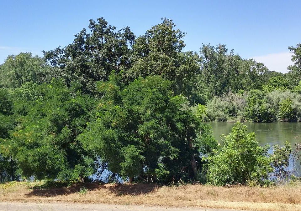River view from front