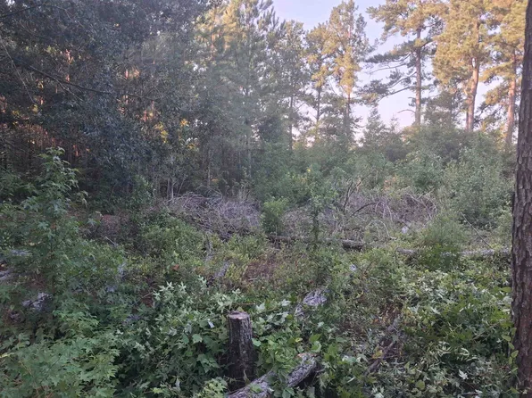 Lot 11-D McGregor Circle, Lake City, SC 29560