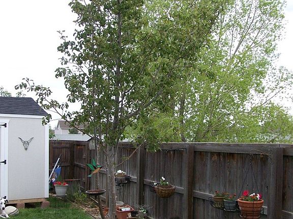 3rd image of 11984 Glencoe Dr