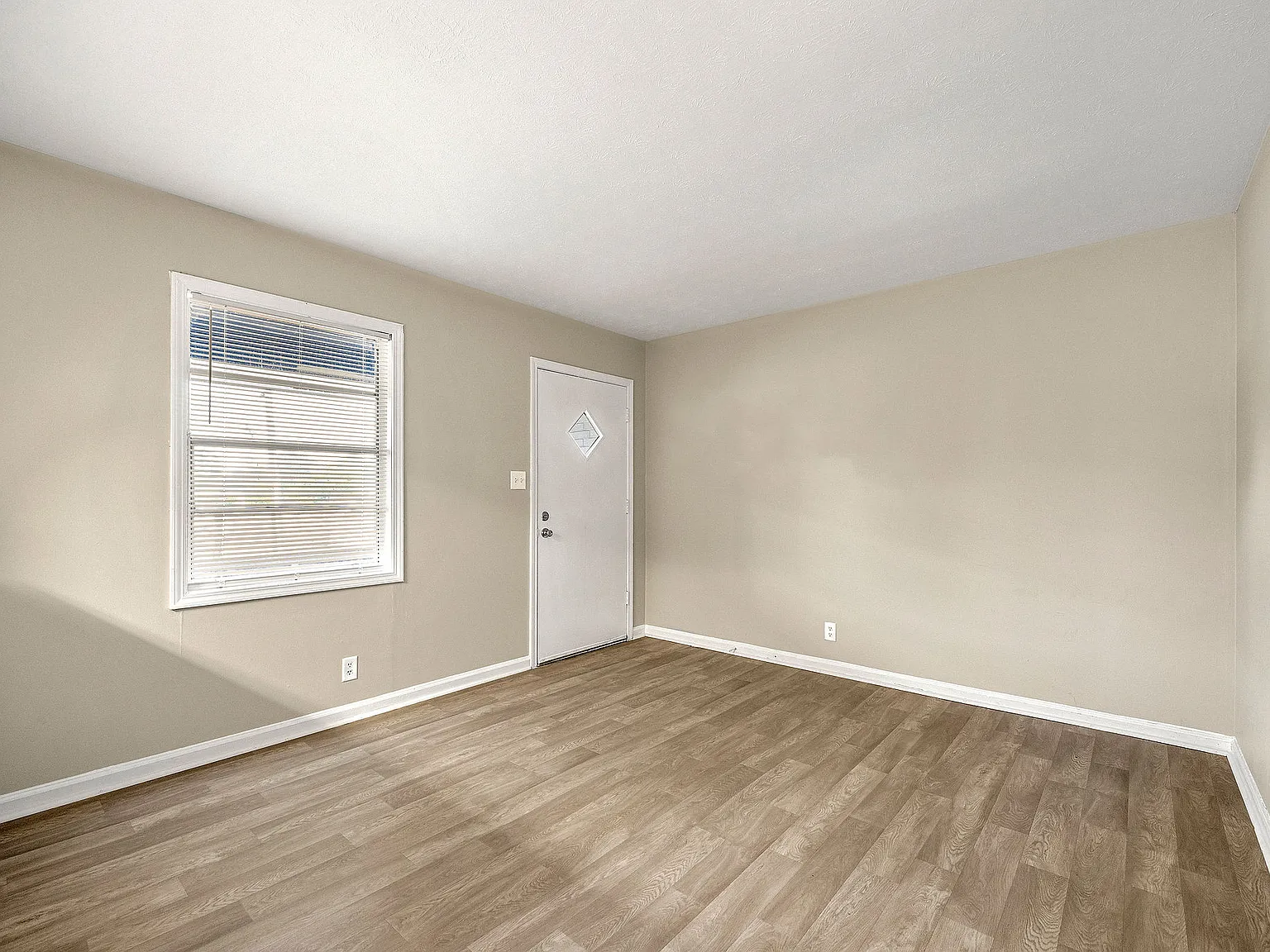 Balfour 296 — Photo 4
