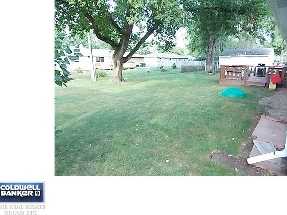 Large Shade tress in back yard