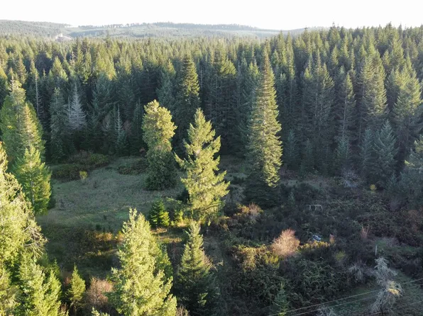 Hard Cash Ln, Camas Valley, OR 97416