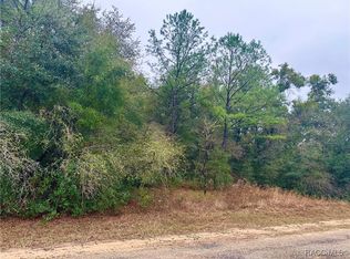 1540 E Artesian Ln, Citrus Springs, FL 34434