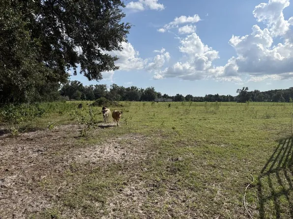  NW 65th Ave, Trenton, FL 32693
