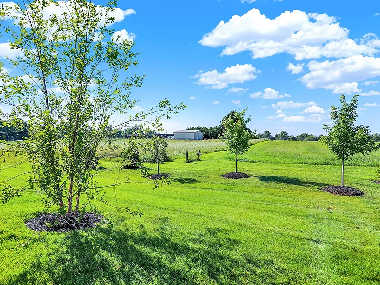 10713 Mangrove Dr — Photo 38