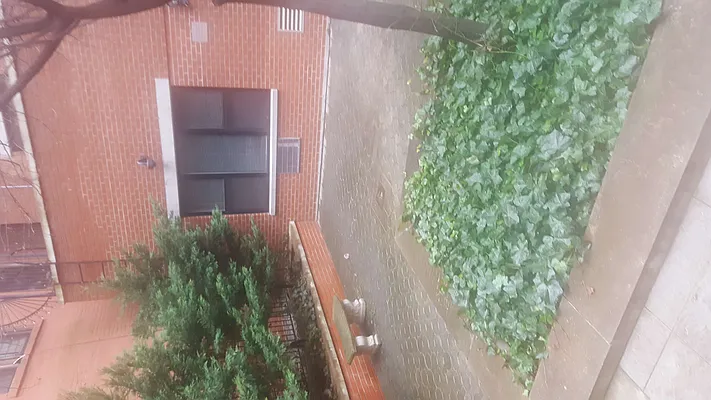 Rented by Fifth & Forever LLC | media 23