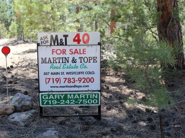 481 Rosewood Rd, Westcliffe, CO 81252