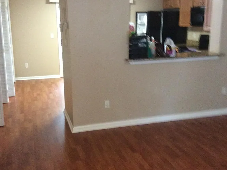 556 Green Spring Cir — Photo 13