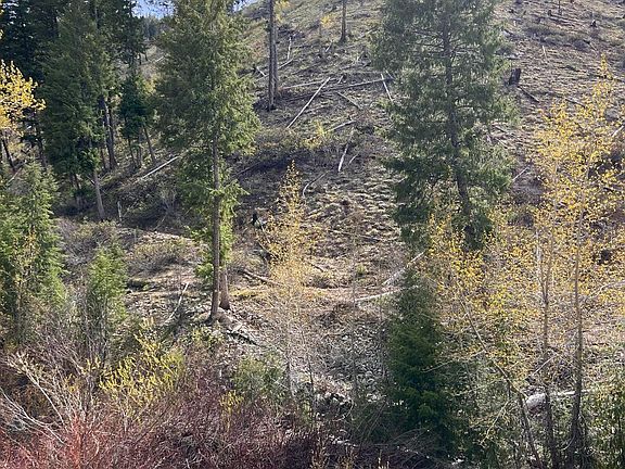 4th image of Quartz Creek Rd