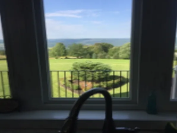 6187 Vista Hl, Dansville, NY 14437
