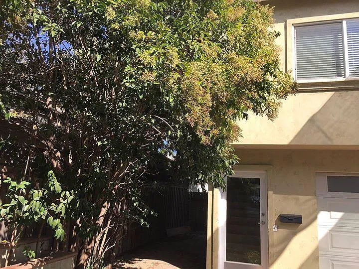 Tobias Ave, Sherman Oaks — Photo 2