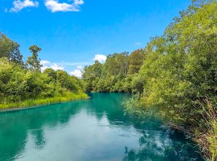 8571 Coat Rd, Benzonia, MI 49616