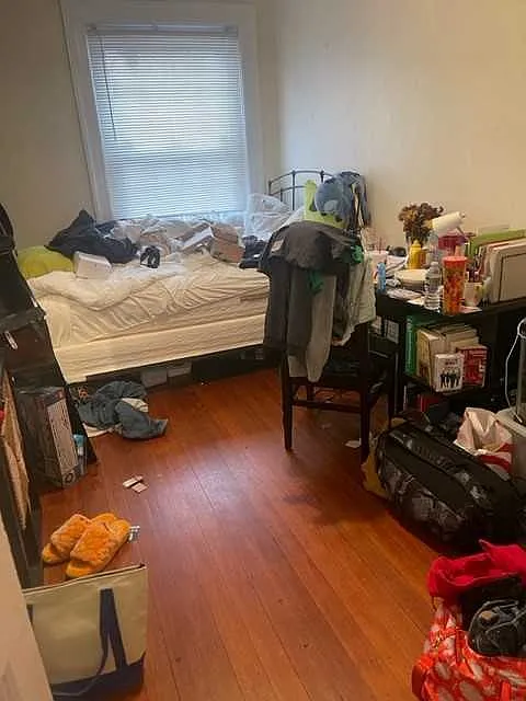 3 bed, $4,650 — Photo 4