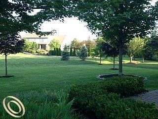 5th image of 12124 Chandler Dr