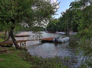 136 Palm St, Chapin, SC 29036