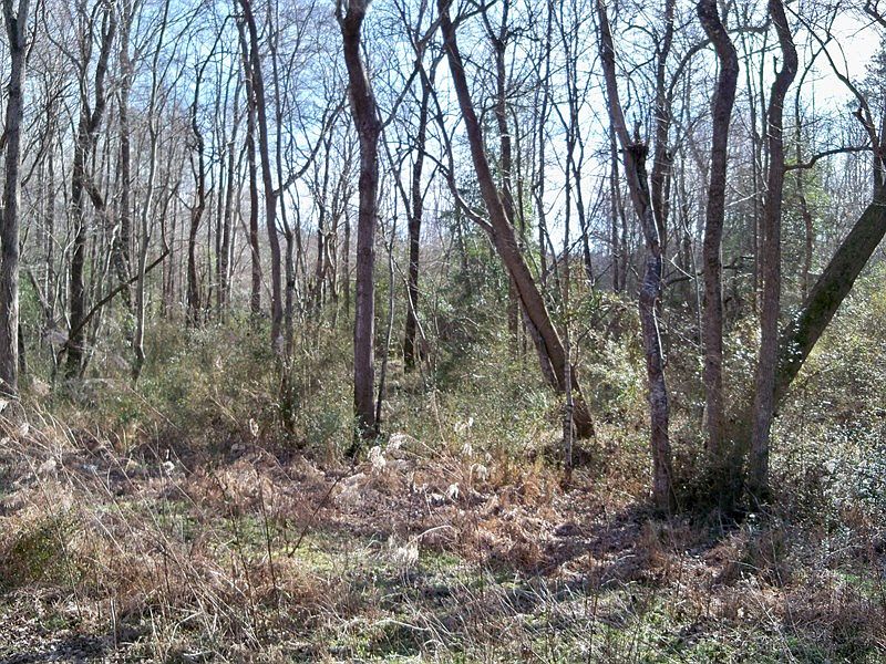1st image of 6025 State Highway 39 S