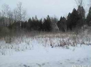 5238 Campbell Rd, Elbridge, NY 13060