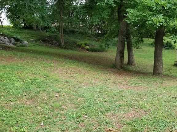 back yard