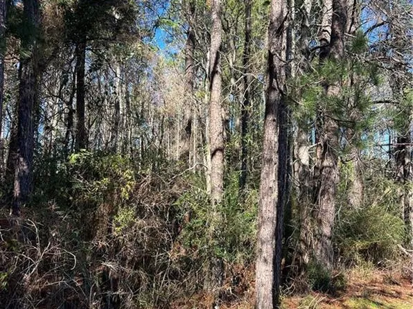 0 Lynn Dr, Ball, LA 71405