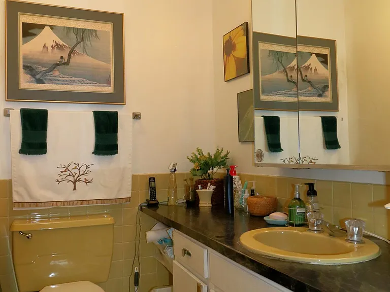 6033 N Sheridan Rd #24M — Photo 12