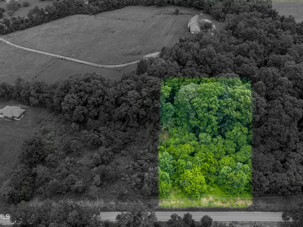 8 Clear Springs Rd, Limestone, TN 37681