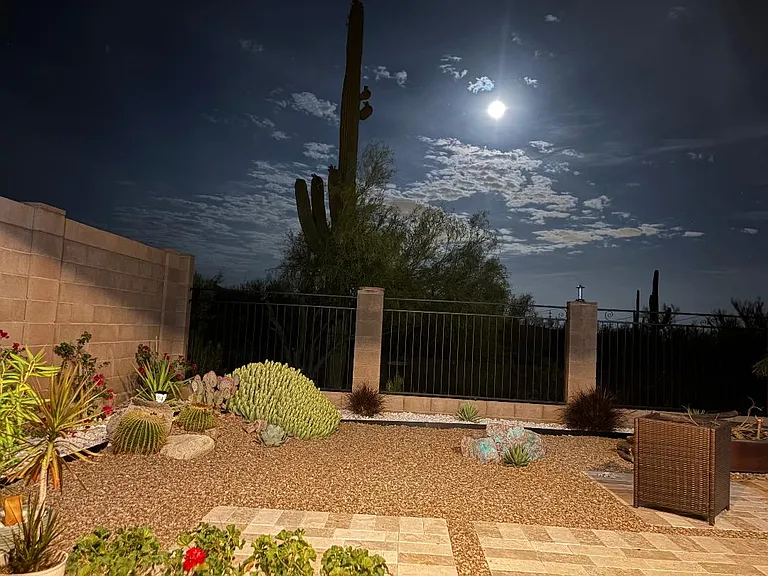 12108 N Golden Mirror Dr — Photo 39