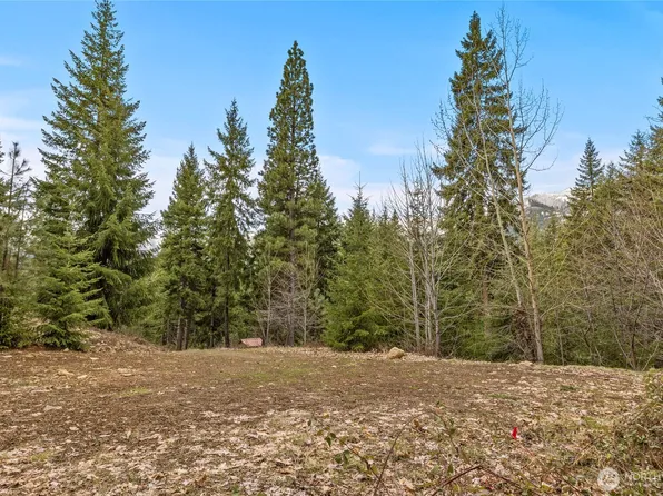 33 Lakeside Court, Ronald, WA 98940