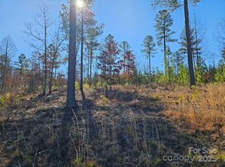 2195 Inlet Shore Rd, Connelly Springs, NC 28612