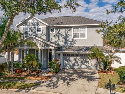 18209 Tivoli Ln, Lutz, FL, 33558