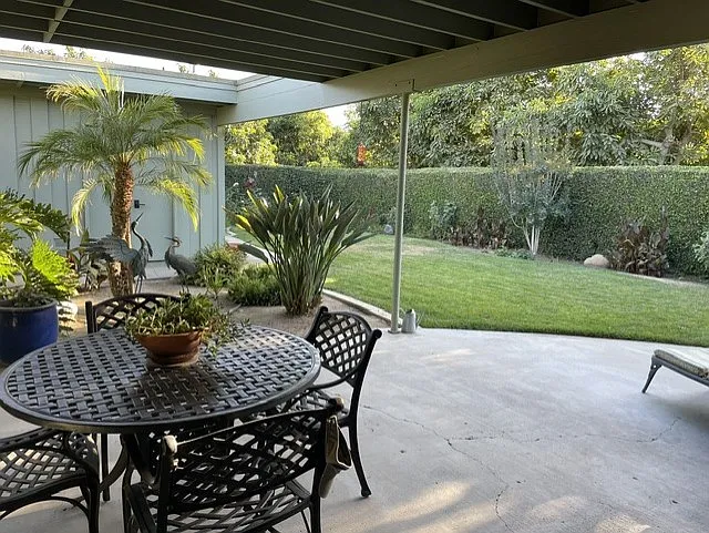 Back yard