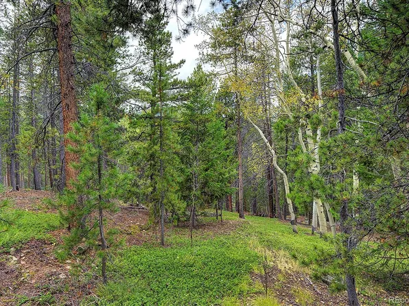 8431 London Lane, Conifer, CO 80433