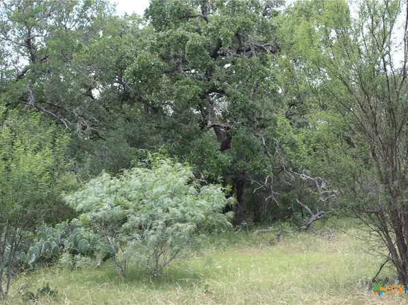 0 Fm 3353, Kingsbury, TX 78638