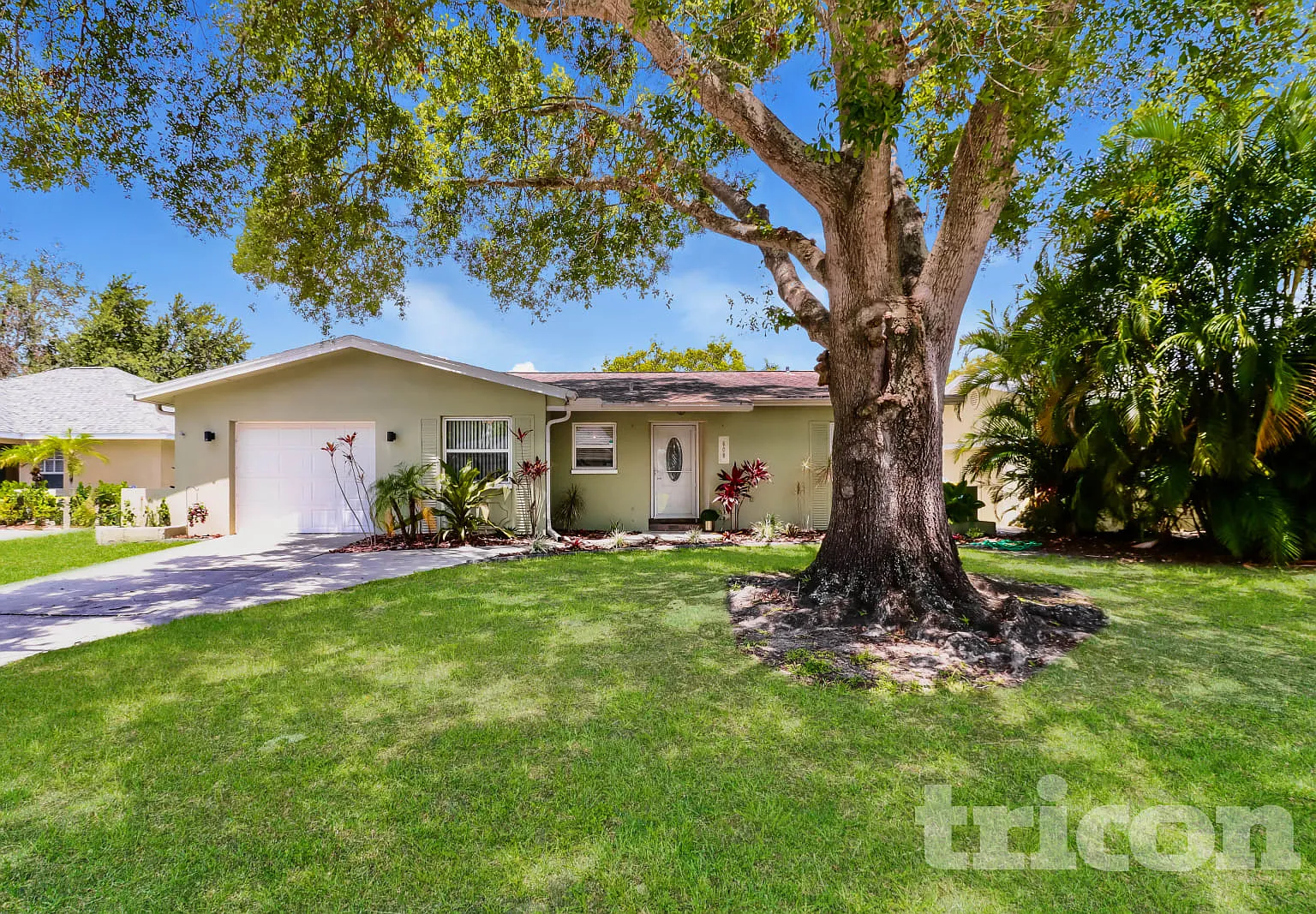 609 Linda Court Palm Harbor FL — Photo 1