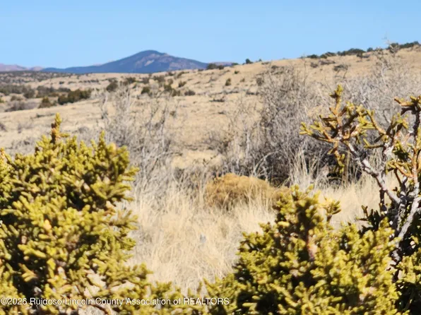 LOT 175 Windmill Rd, Carrizozo, NM 88301