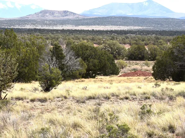 4948 E Larkspur Rd, Williams, AZ 86046