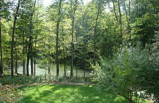 4th image of 8526 Pine Lake Dr