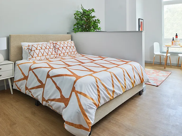 A studio apartment with designated bedroom area