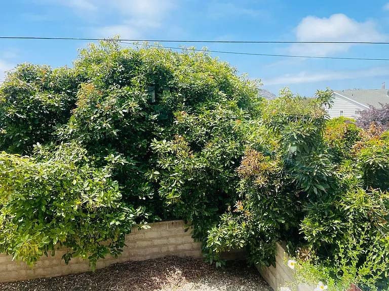 469 Kern Ave — Photo 22