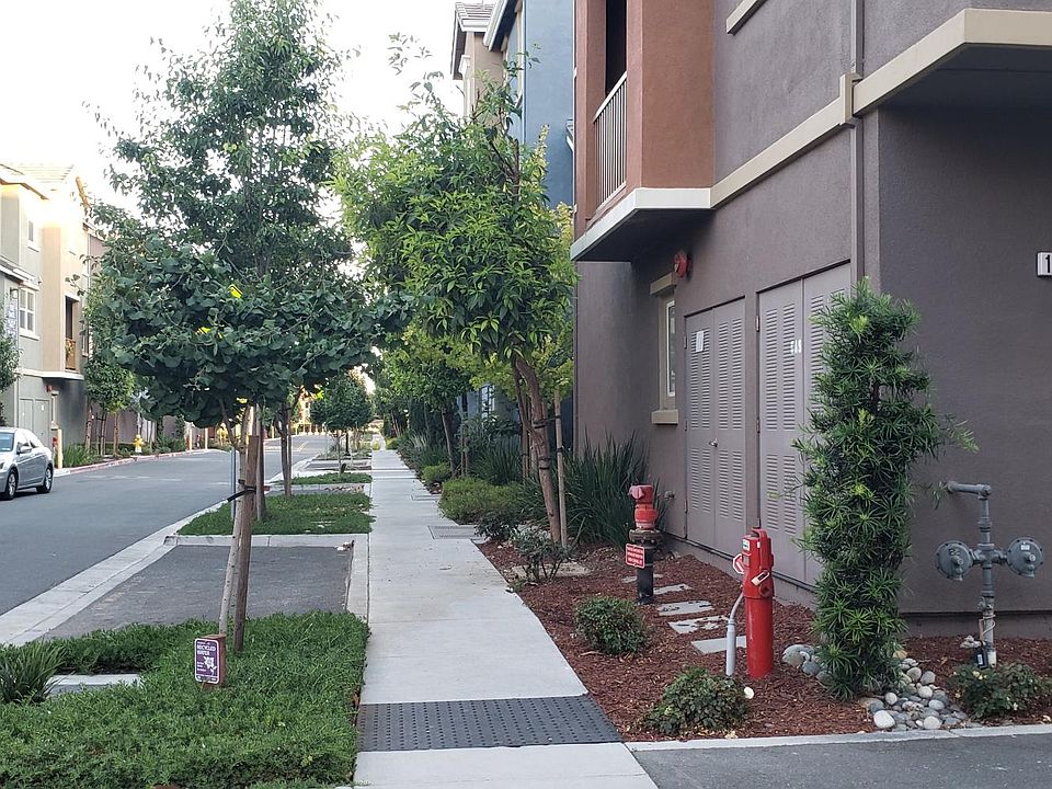 Outside View
