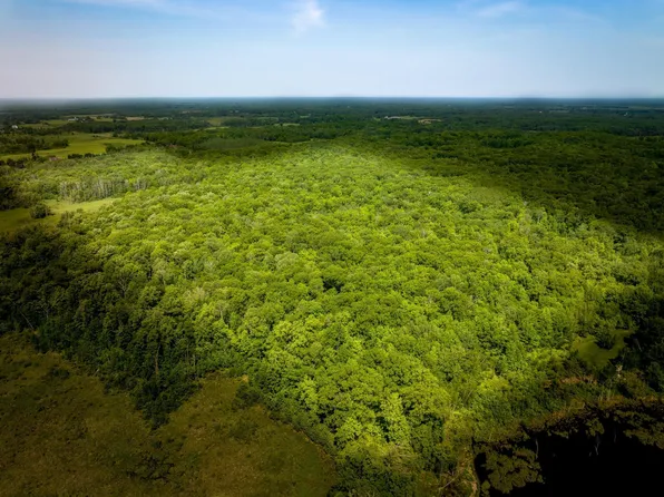 Brook Park Rd, Brook Park, MN 55007