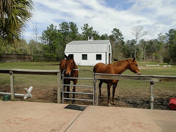 5 stall barn in background. Also a pond on the 5 acres.