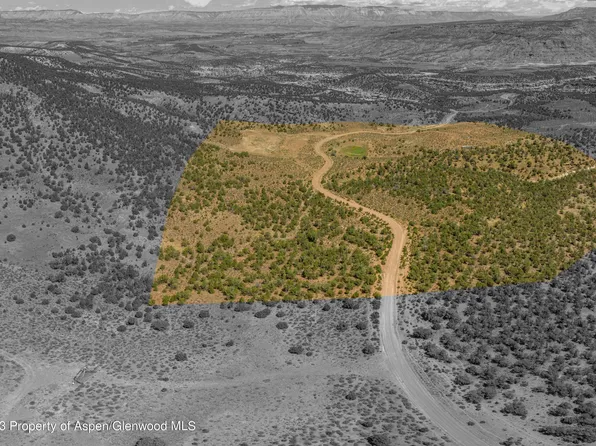 Tbd Horse Canyon Rd, De Beque, CO 81630