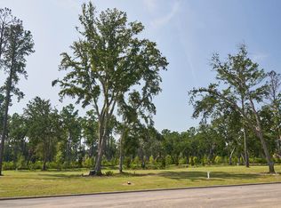 321 Bayley Rd, Daniel Island, SC 29492