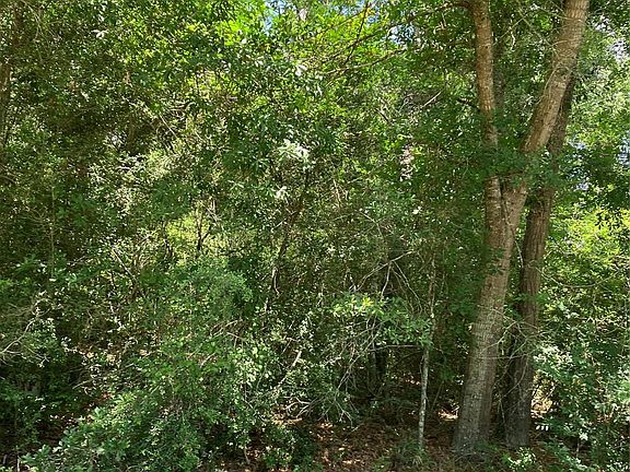 3rd image of 0 Brentwood Rd Lot 9