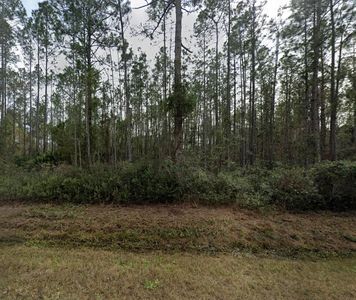 4315 Kristen St, Hastings, FL, 32145